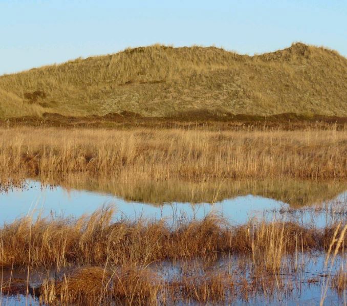 analyse Af Reduktion Af Indvinding På Skagen Kildeplads analyse Af Reduktion Af Indvinding På Skagen Kildeplads