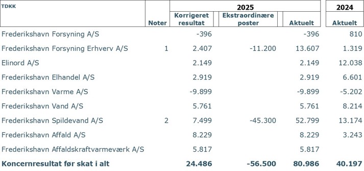 Koncernoversigt/resultater 2025