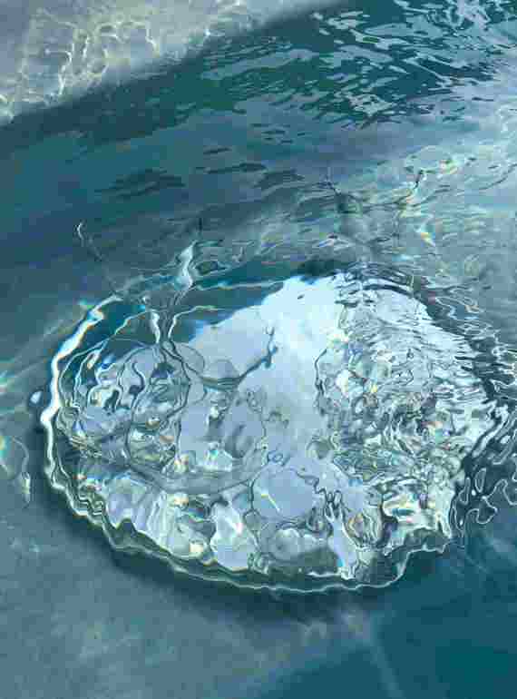 Vand der kommer op fra kilde