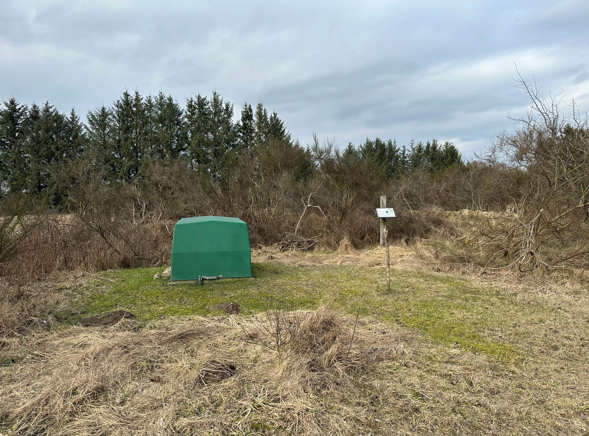 Kildeplads Storhøjen ved Tolne